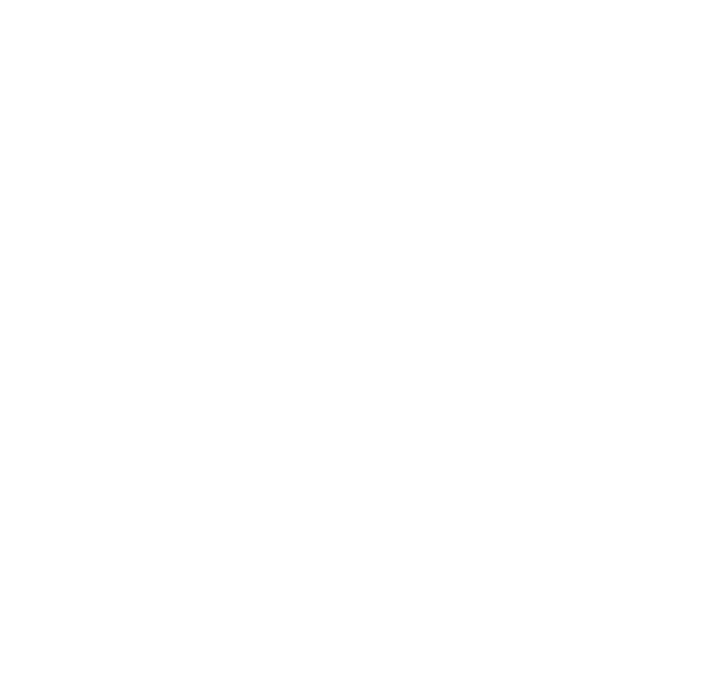 Ferienwohnung Eisenach Saphir Logo